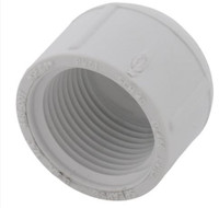 Cap - PVC - Threaded made by Lasco here at Twin Oaks Nursery & Supply