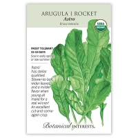 Arugula Seeds