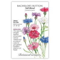 Bachelor Button Tall Blend Seeds made by Botanical Interests here at Twin Oaks Nursery & Supply