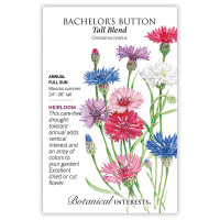 Bachelor Button Tall Blend Seeds is here at  Twin Oaks Nursery & Supply in Denison & Sherman Tx