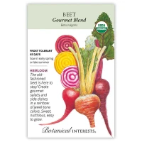 Beet Seeds made by Botanical Interests here at Twin Oaks Nursery & Supply