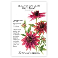 Black-Eyed Susan Seeds made by Botanical Interests here at Twin Oaks Nursery & Supply