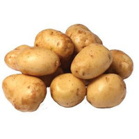 Seed Potatoes - Per Pound, fresh and whole seed potatoes suitable for planting.