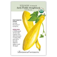 Summer Squash Seeds