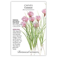 Chives Seeds