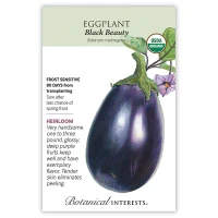 Eggplant Seeds made by Botanical Interests here at Twin Oaks Nursery & Supply