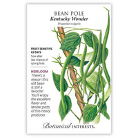Botanical Interests Pole Bean Seeds, detailed botanical illustration of Kentucky Wonder pole beans with green leaves and vines.