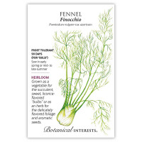 Fennel Seeds