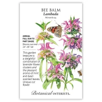 Bee Balm Lambada Seeds made by Botanical Interests here at Twin Oaks Nursery & Supply
