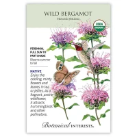 Wild Bergamot made by Botanical Interests here at Twin Oaks Nursery & Supply