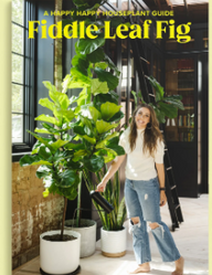 Fiddle Leaf Fig Guide Book made by here at Twin Oaks Nursery & Supply
