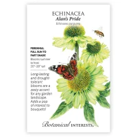 Echinacea Seeds