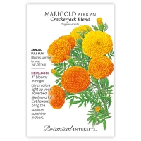 Marigold Seeds