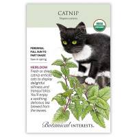 Catnip Seeds is here at  Twin Oaks Nursery & Supply in Denison & Sherman Tx