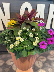 Annual Combo Flower Pot made by here at Twin Oaks Nursery & Supply
