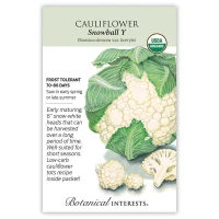 Cauliflower Seeds made by Botanical Interests here at Twin Oaks Nursery & Supply