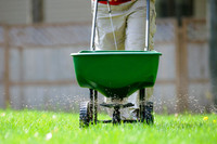 Fertilizer Spreader - Green