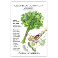 Cilantro/ Coriander Seeds
