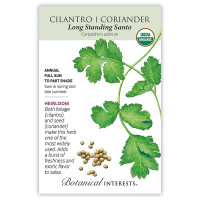 Cilantro/ Coriander Seeds is here at  Twin Oaks Nursery & Supply in Denison & Sherman Tx