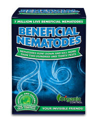 Beneficial Nematodes