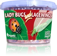 Lady Bugs & Lacewings