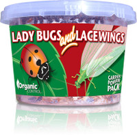 Organic Control Lady Bugs & Lacewings, insect control product with lady bugs and lacewings in a green and red container for natural garden pest management.