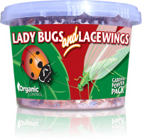 Lady Bugs & Lacewings