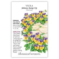 Viola Seeds made by Botanical Interests here at Twin Oaks Nursery & Supply