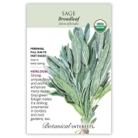 Sage Seeds