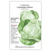 Cabbage Seeds