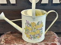 Decretive Metal Indoor Watering Can