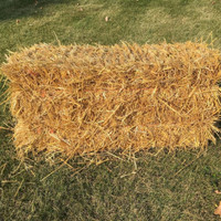 Straw Bales made by here at Twin Oaks Nursery & Supply