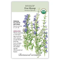 Hyssop Seeds made by Botanical Interests here at Twin Oaks Nursery & Supply