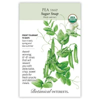 Pea Seeds