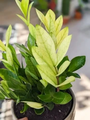  Vend Uncategorized Twin Oaks Nursery & Supply