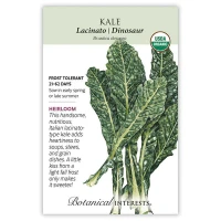 Kale Seeds