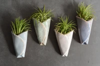 Air Plant Pottery Cone made by here at Twin Oaks Nursery & Supply