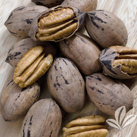 Pecan made by here at Twin Oaks Nursery & Supply