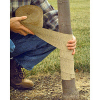 Tree Wrap