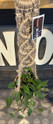 Macrame Plant Hanger