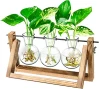 Propagation Station