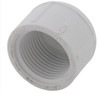 Cap - PVC - Threaded made by Lasco here at Twin Oaks Nursery & Supply