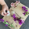 Flower & Leaf Collector Board made by here at Twin Oaks Nursery & Supply