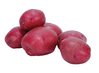 Seed Potatoes - Per Pound