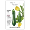 Summer Squash Seeds