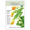 Summer Squash Seeds