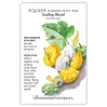 Summer Squash Seeds