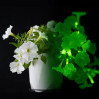 Firefly Glow-in-the-Dark Petunia - Quart