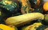 Pumpkins