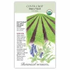 Cover Crop